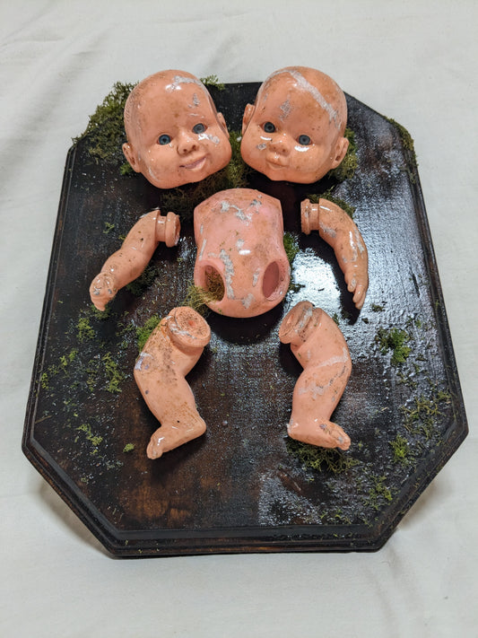 Two Headed Baby Doll Artificial Taxidermy