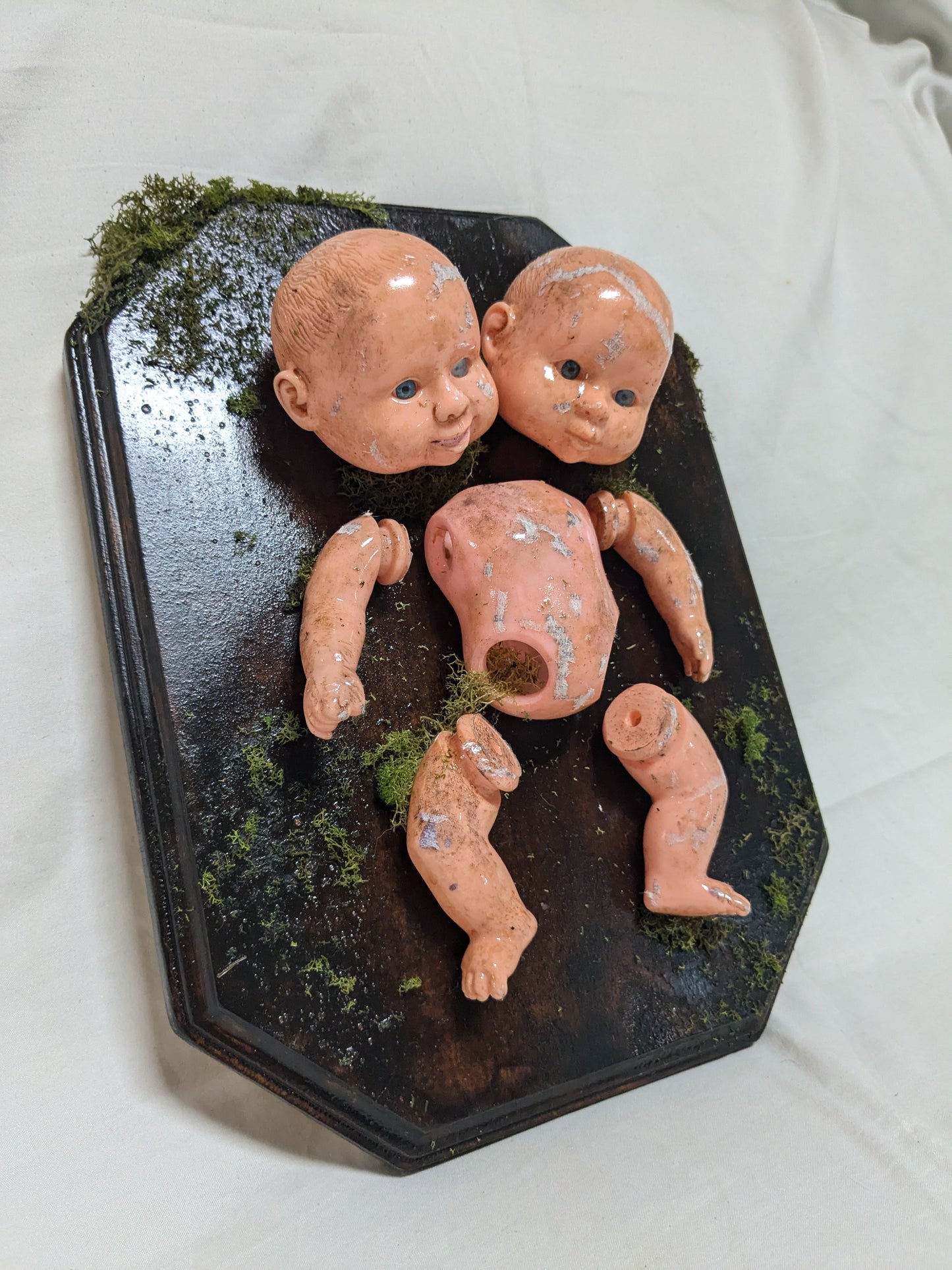 Two Headed Baby Doll Artificial Taxidermy