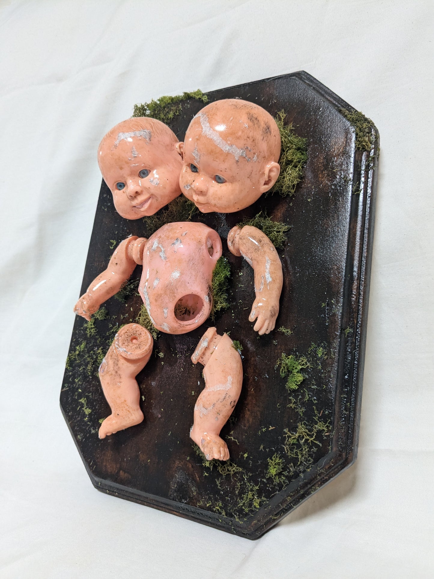 Two Headed Baby Doll Artificial Taxidermy